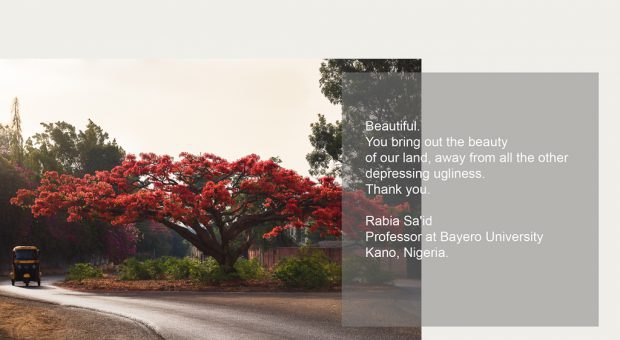 Client Testimonial: "Beautiful. You bring out the beauty of our land, away from all the other depressing ugliness. Thank you." Rabia Sa'id, Professor at Bayero University, Kano, Nigeria.
