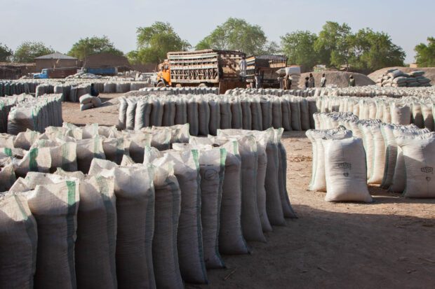 Bags of Potash Awaiting Transport at Gashua Market, Yobe State | Irene Becker Photography | Irene Becker Photography Bags of potash stacked in Gashua Market, Yobe State, Nigeria, ready for loading and transport.