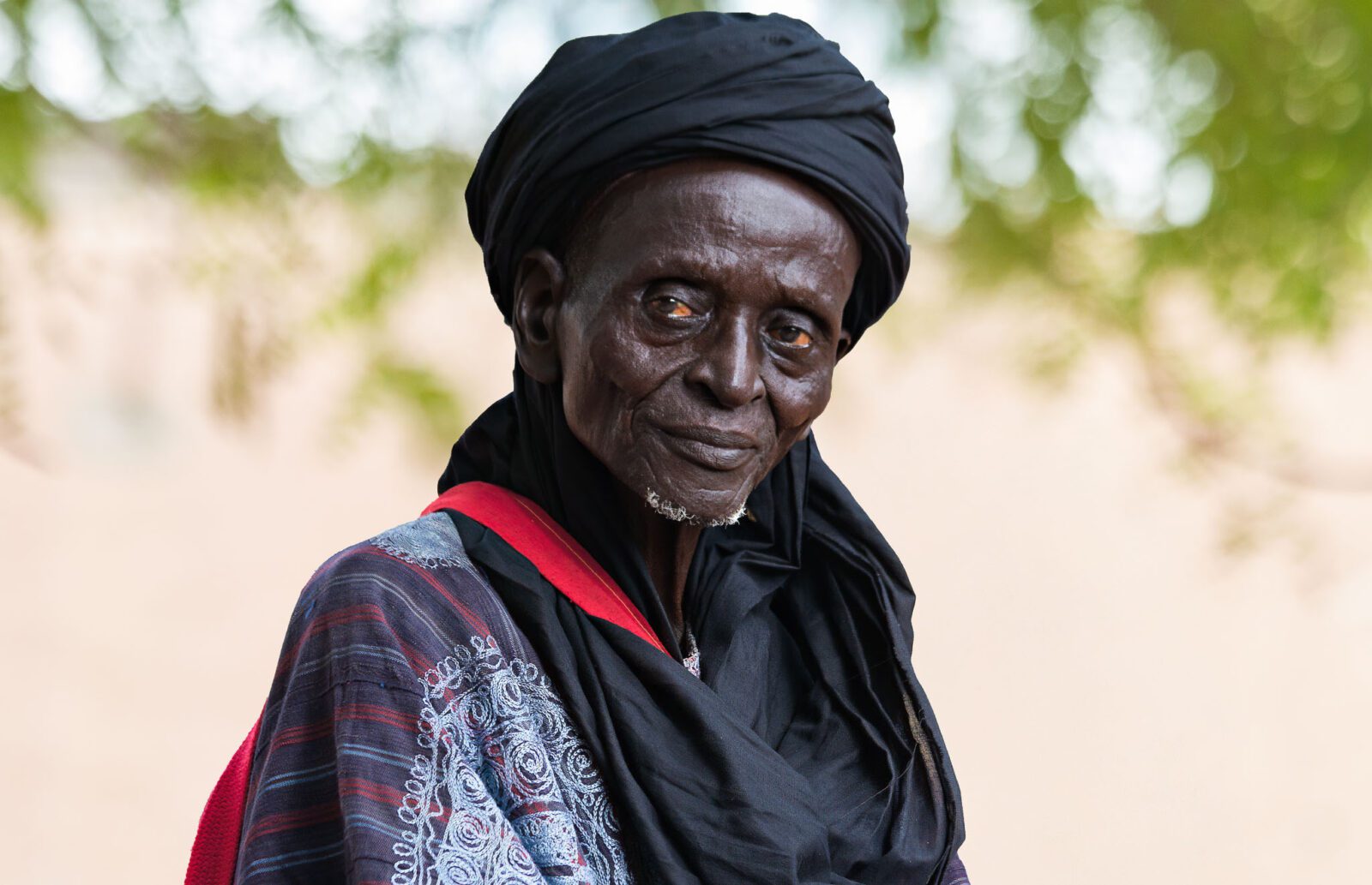Argungu Durbar Portrait of Sarkin Bori (Yan’Bori) at the Argungu Durbar festival in Nigeria.